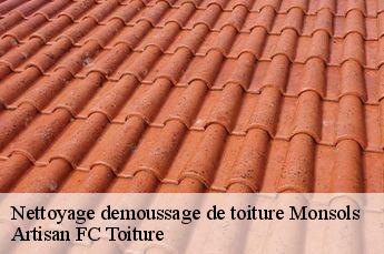 Nettoyage demoussage de toiture  monsols-69860 Artisan FC Toiture