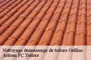 Nettoyage demoussage de toiture  oullins-69600 Artisan FC Toiture