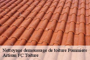 Nettoyage demoussage de toiture  pommiers-69480 Artisan FC Toiture