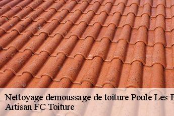 Nettoyage demoussage de toiture  poule-les-echarmeaux-69870 Artisan FC Toiture