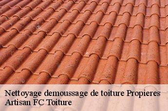 Nettoyage demoussage de toiture  propieres-69790 Artisan FC Toiture
