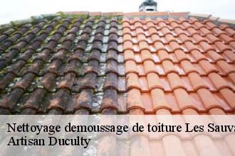 Nettoyage demoussage de toiture  les-sauvages-69170 Artisan Duculty
