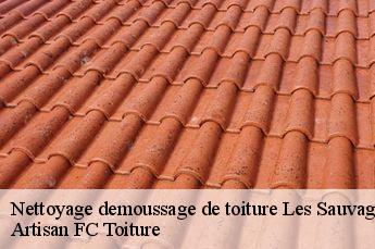 Nettoyage demoussage de toiture  les-sauvages-69170 Artisan FC Toiture