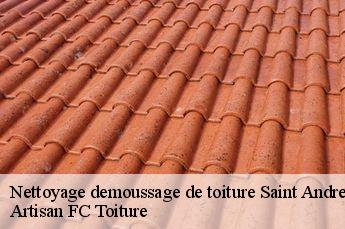 Nettoyage demoussage de toiture  saint-andre-la-cote-69440 Artisan FC Toiture
