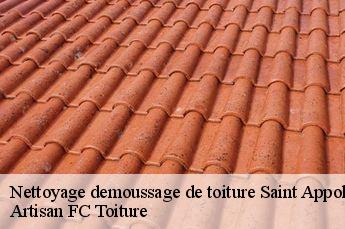Nettoyage demoussage de toiture  saint-appolinaire-69170 Artisan FC Toiture