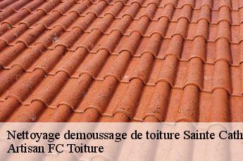 Nettoyage demoussage de toiture  sainte-catherine-69440 Artisan FC Toiture