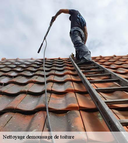 Nettoyage demoussage de toiture 69290