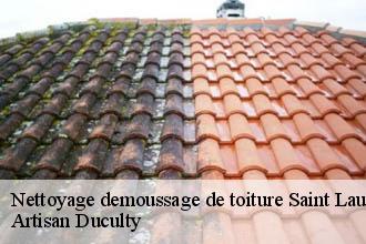Nettoyage demoussage de toiture  saint-laurent-de-chamousset-69930 Artisan Duculty