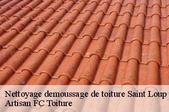 Nettoyage demoussage de toiture  saint-loup-69490 Artisan FC Toiture