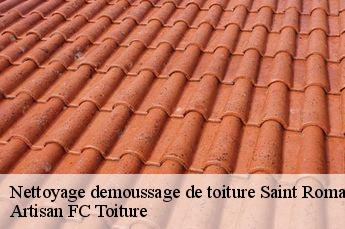 Nettoyage demoussage de toiture  saint-romain-en-gal-69560 Artisan FC Toiture