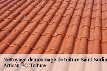 Nettoyage demoussage de toiture  saint-sorlin-69440 Artisan FC Toiture