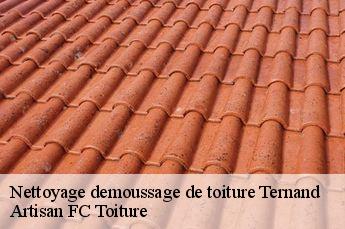 Nettoyage demoussage de toiture  ternand-69620 Artisan FC Toiture