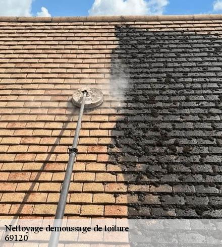 Nettoyage demoussage de toiture  69120