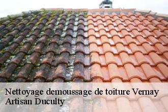 Nettoyage demoussage de toiture  vernay-69430 Artisan Duculty
