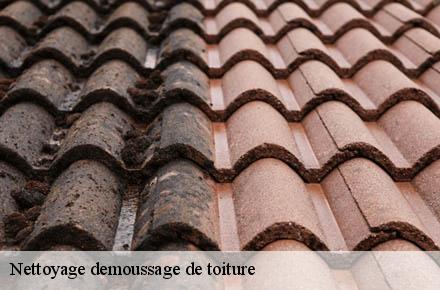 Nettoyage demoussage de toiture