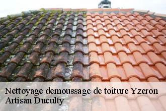 Nettoyage demoussage de toiture  yzeron-69510 Artisan Duculty