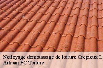 Nettoyage demoussage de toiture  crepieux-la-pape-69140 Artisan FC Toiture