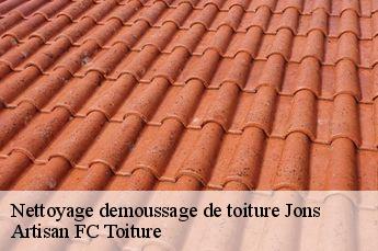 Nettoyage demoussage de toiture  jons-69330 Artisan FC Toiture