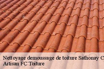 Nettoyage demoussage de toiture  sathonay-camp-69580 Artisan FC Toiture