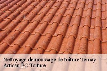 Nettoyage demoussage de toiture  ternay-69360 Artisan FC Toiture