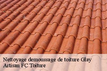 Nettoyage demoussage de toiture  glay-69850 Artisan FC Toiture
