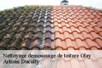 Nettoyage demoussage de toiture  glay-69850 Artisan FC Toiture