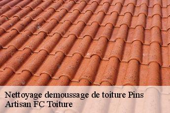 Nettoyage demoussage de toiture  pins-69440 Artisan FC Toiture