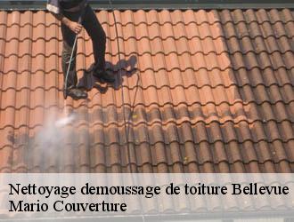 Nettoyage demoussage de toiture bellevue-69440 Mario Couverture