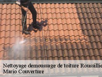 Nettoyage demoussage de toiture  roussilliere-69440 Mario Couverture 