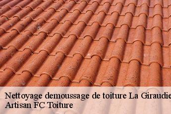 Nettoyage demoussage de toiture  la-giraudiere-69690 Artisan FC Toiture