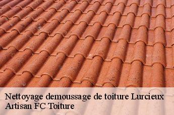 Nettoyage demoussage de toiture  lurcieux-69690 Artisan FC Toiture