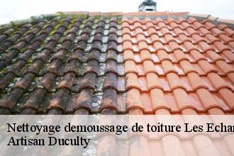Nettoyage demoussage de toiture  les-echarmeaux-69870 Artisan Duculty