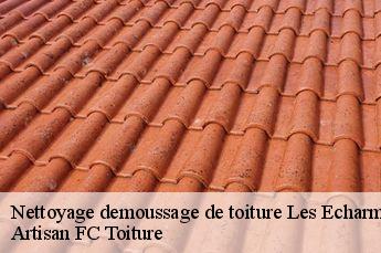 Nettoyage demoussage de toiture  les-echarmeaux-69870 Artisan FC Toiture