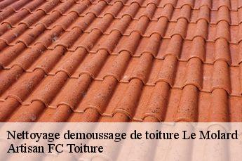 Nettoyage demoussage de toiture  le-molard-69430 Artisan FC Toiture