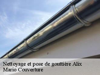 Nettoyage et pose de gouttière  alix-69380 Mario Couverture 