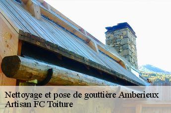 Nettoyage et pose de gouttière  amberieux-69480 Artisan FC Toiture