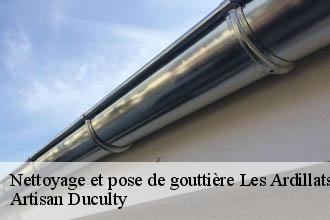 Nettoyage et pose de gouttière  les-ardillats-69430 Artisan Duculty