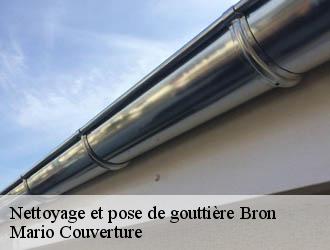 Nettoyage et pose de gouttière  bron-69500 Mario Couverture 