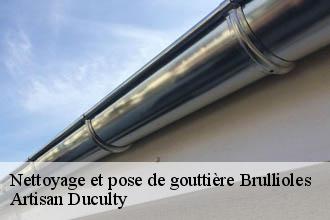 Nettoyage et pose de gouttière  brullioles-69690 Artisan Duculty
