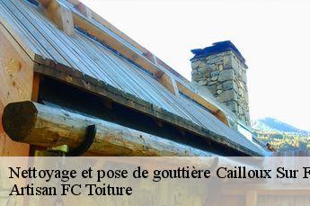 Nettoyage et pose de gouttière  cailloux-sur-fontaines-69270 Artisan FC Toiture