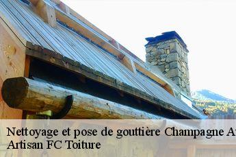 Nettoyage et pose de gouttière  champagne-au-mont-d-or-69410 Artisan FC Toiture