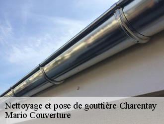 Nettoyage et pose de gouttière charentay-69220 Mario Couverture