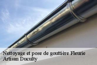 Nettoyage et pose de gouttière  fleurie-69820 Artisan Duculty