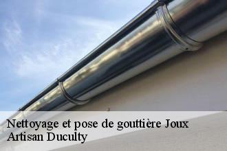 Nettoyage et pose de gouttière  joux-69170 Artisan Duculty