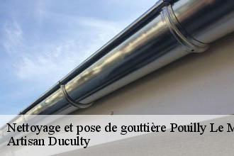 Nettoyage et pose de gouttière  pouilly-le-monial-69400 Artisan Duculty