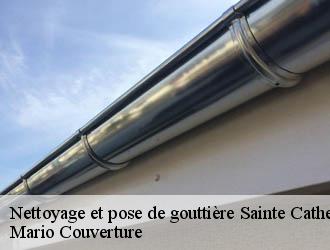 Nettoyage et pose de gouttière sainte-catherine-69440 Mario Couverture