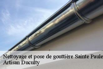 Nettoyage et pose de gouttière  sainte-paule-69620 Artisan Duculty