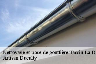 Nettoyage et pose de gouttière  tassin-la-demi-lune-69160 Artisan Duculty