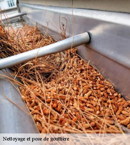 Nettoyage et pose de gouttière 69390