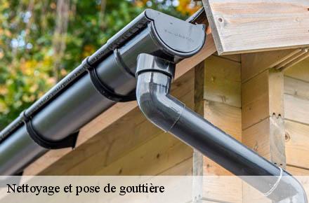 Nettoyage et pose de gouttière  69780
